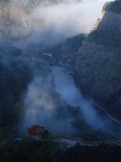 坚持到这个年过完了婚也离了