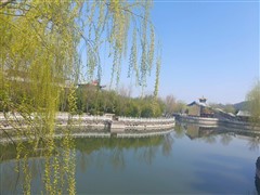 不起眼的小路却接住了我所有的情绪