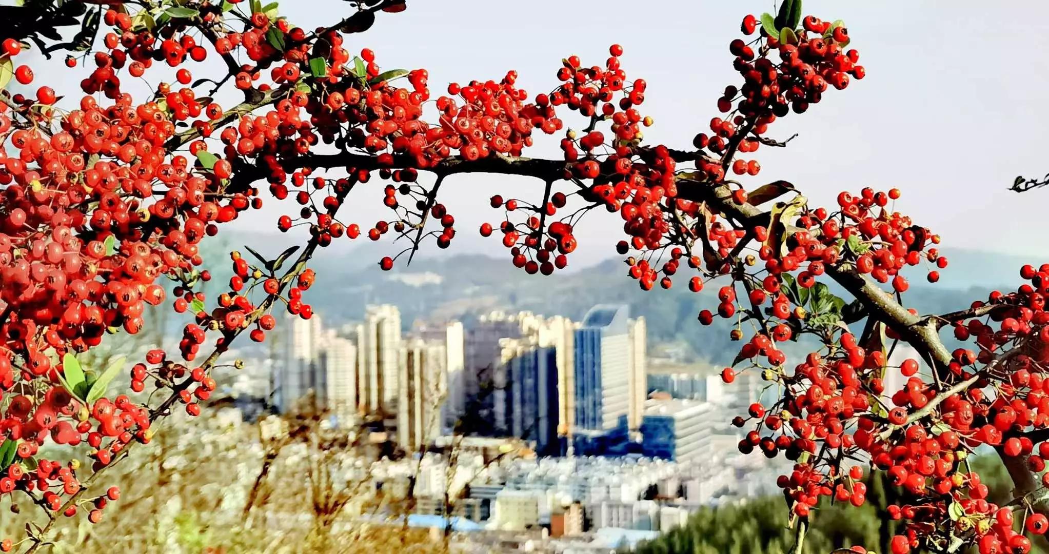 821CD698-55DC-47C5-B98A-1799FCFEE516