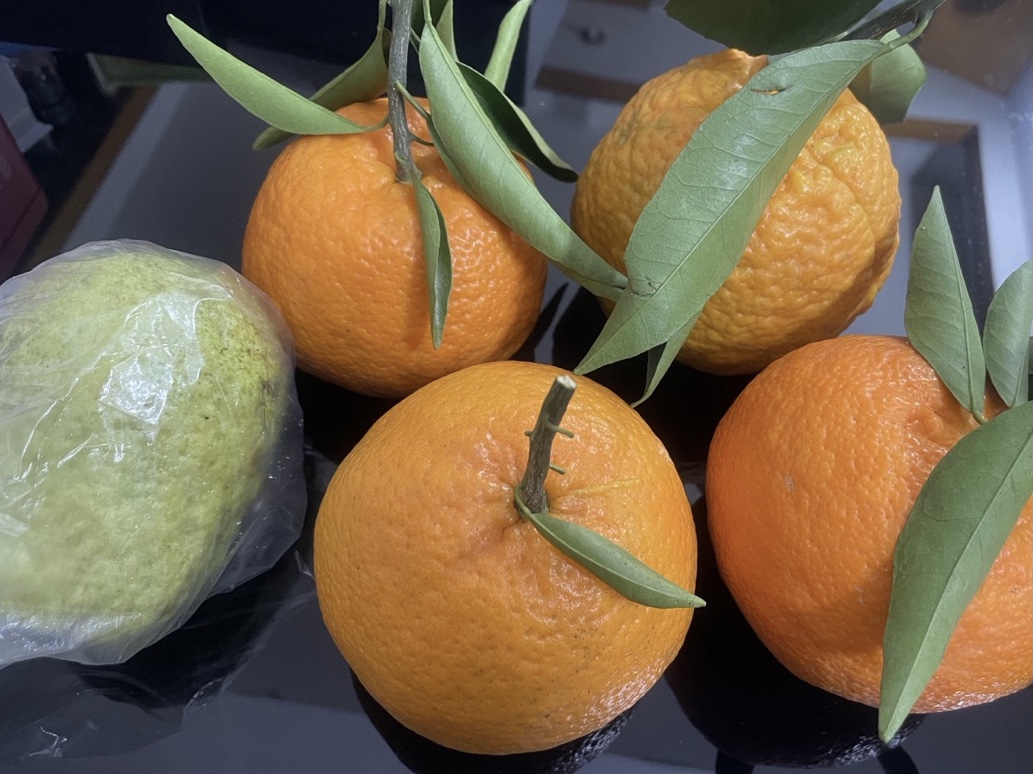 3c3d611a-c0d4-4993-baa3-0b7b78d9c935