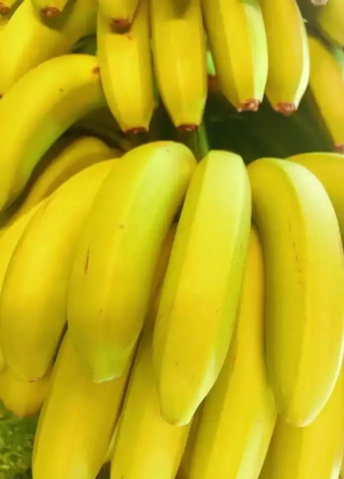 34D94E2B-DCB0-43F2-B496-0B3D391F4A3D