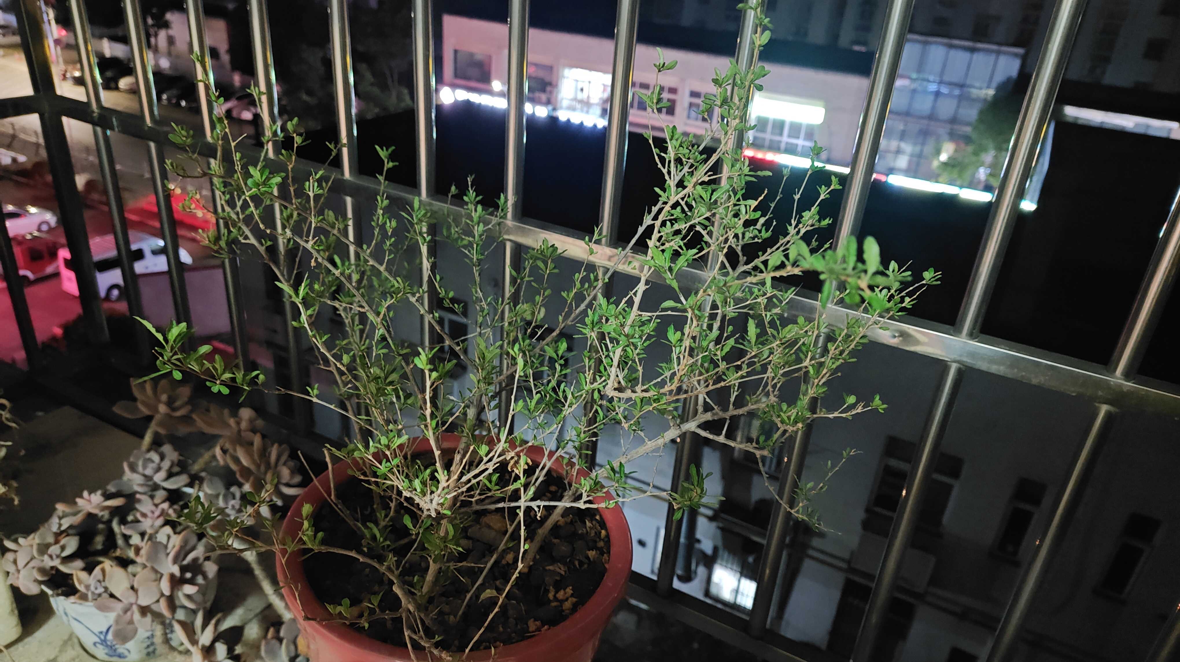 D16E732D-09F4-475C-8119-F2E787C28E33