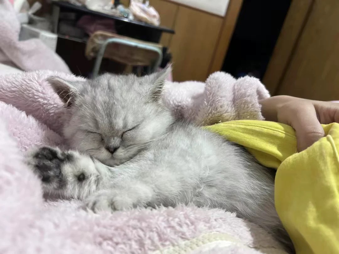 62BC0718-1334-44C9-8AD3-F5FB348BDC77